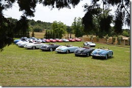 DSC_1034 DSC_1034
